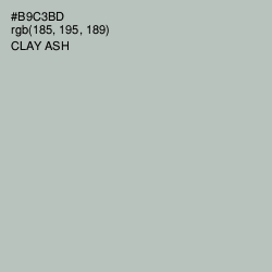 #B9C3BD - Clay Ash Color Image